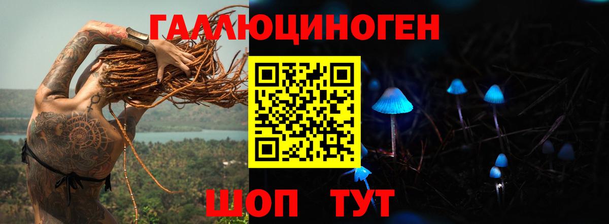 Галлюциногенные грибы Cubensis Бийск